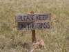 Need I say more